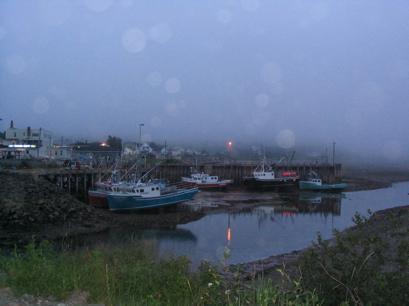 Boats at rest!