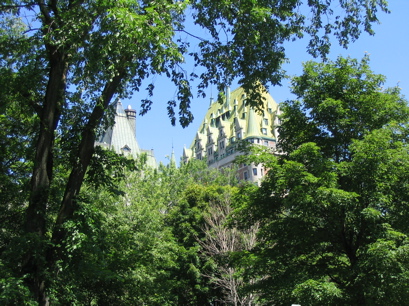 Through the trees