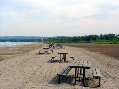 Picnic tables waiting for the weekend hordes