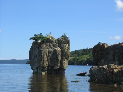 A Newfoundland flowerpot