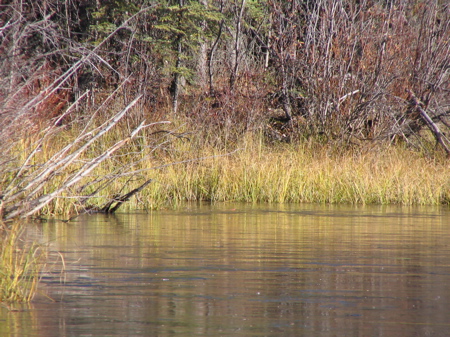Fall on the McQueston Fall on the McQueston
