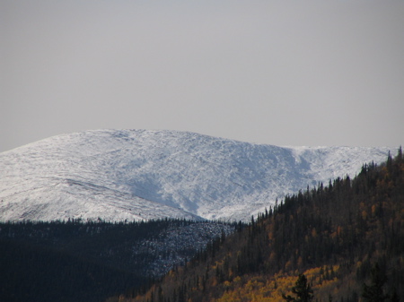 Late September, early winter Late September, early winter