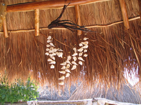 Shell mobile in Akumal shop Shell mobile in Akumal shop