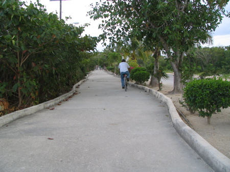 There is no need to make a straight path! There is no need to make a straight path!