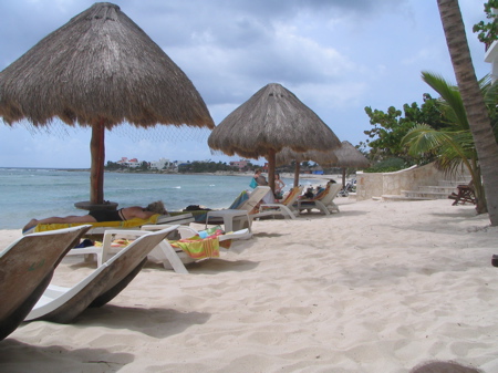 Palapas on the beach Palapas on the beach