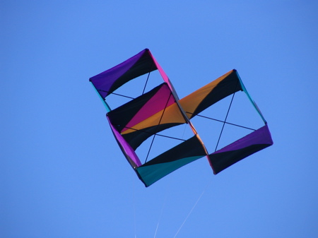Kite flying at Turtle Bay Kite flying at Turtle Bay