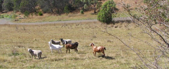 Cycling Tasmania Last Day